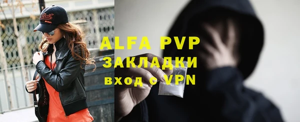 гашик Ладушкин