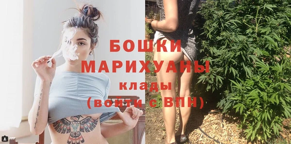 гашик Ладушкин