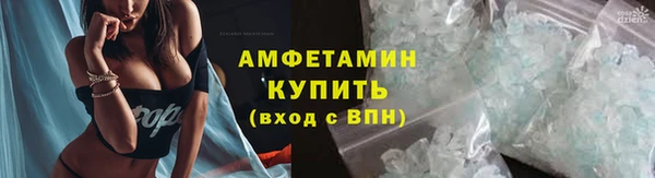 гидра Зуевка