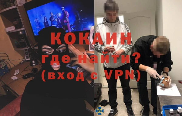 гашик Ладушкин