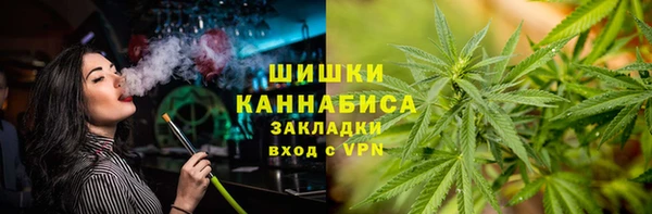гашик Ладушкин