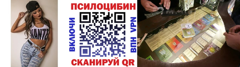 купить наркотики сайты  Могоча  Псилоцибиновые грибы GOLDEN TEACHER 
