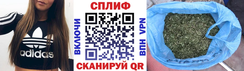 купить сайты Могоча Конопля планчик